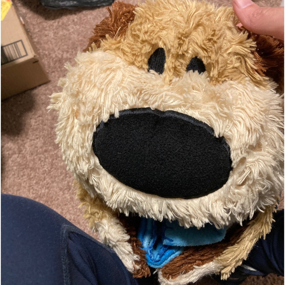Pillow pet !